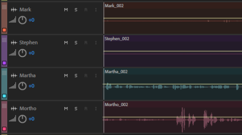 Screenshot of your nice hosts' vocal waveforms