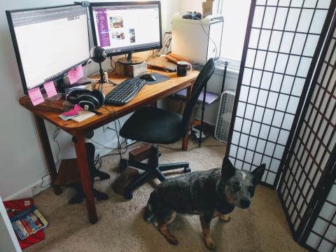 A photo of Ellen's rustic workspace, complete with dog.