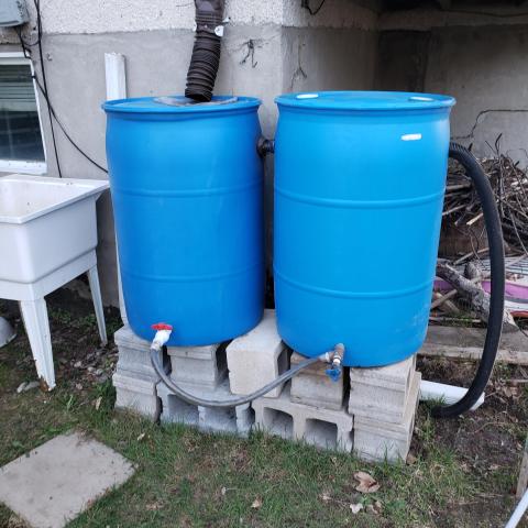 An example of tubing between two different rain water barrels.