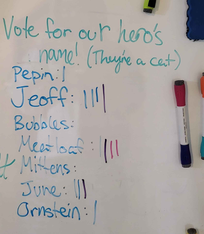 A photo of a whiteboard, with a list of names and tally marks. A header reads "Vote for our hero's name! (They're a cat)". The names are: Pepin (1 vote), Jeoff (4 votes), Bubbles (no votes), Meatloaf (4 votes), Mittens (no votes), June (3 votes), Ornstein (1 vote).